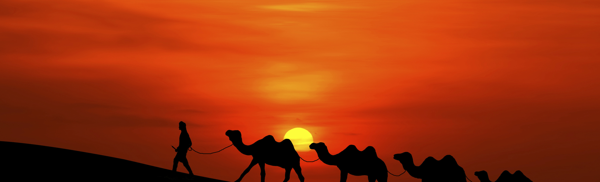 Kamele im Sonnenuntergang, Marokko