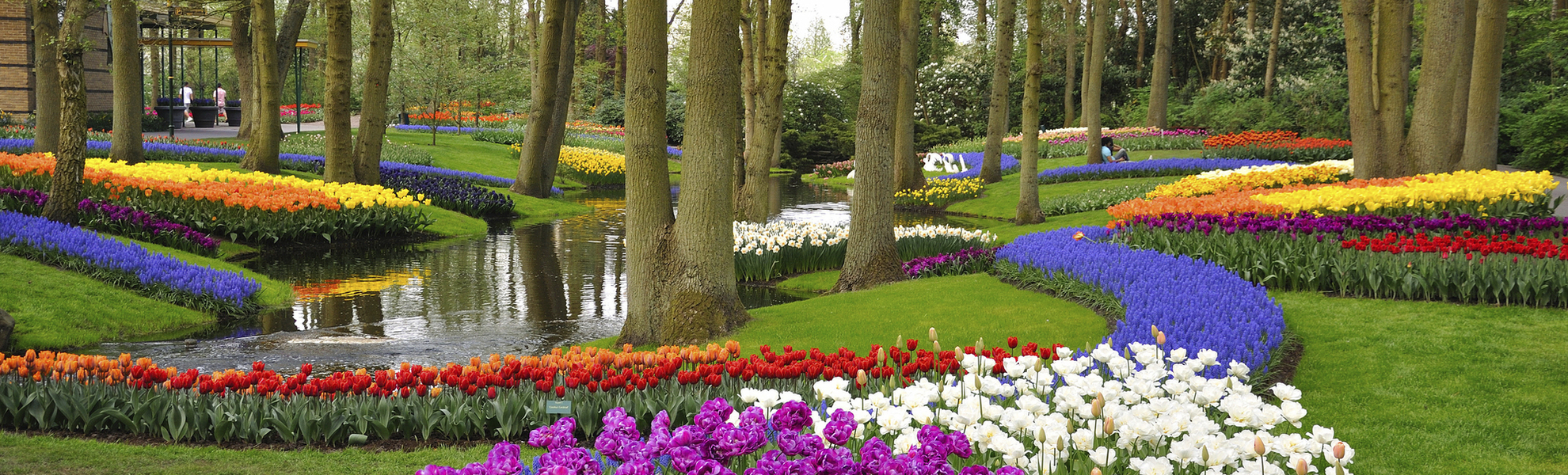 Blumen im Park bei Keukenhof, Niederlande
