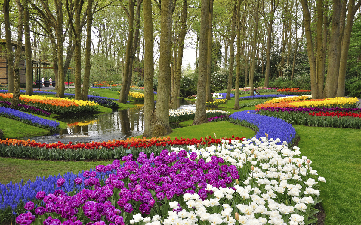 Blumen im Park bei Keukenhof, Niederlande