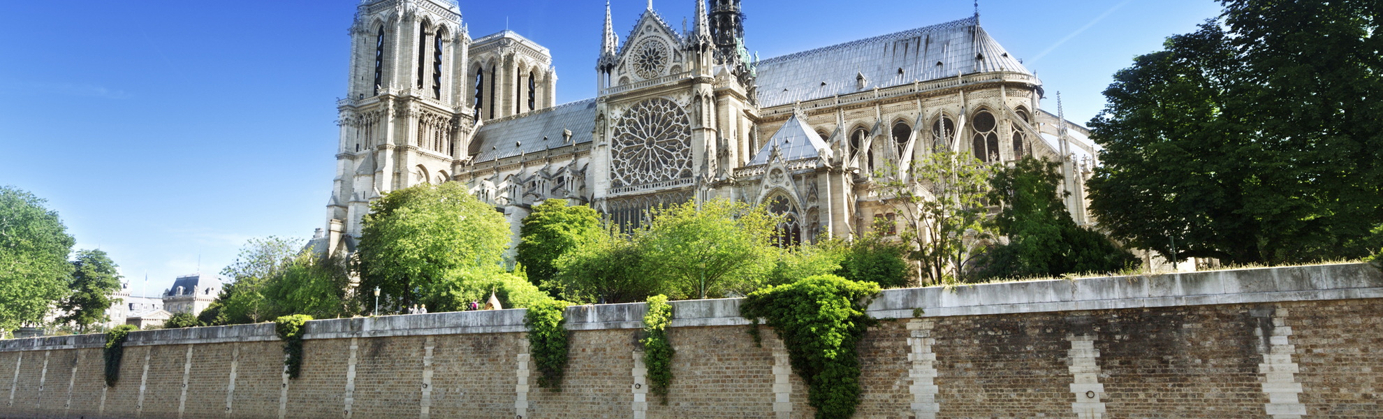 Kathedrale Notre Dame am Ufer der Seine in Paris, Frankreich