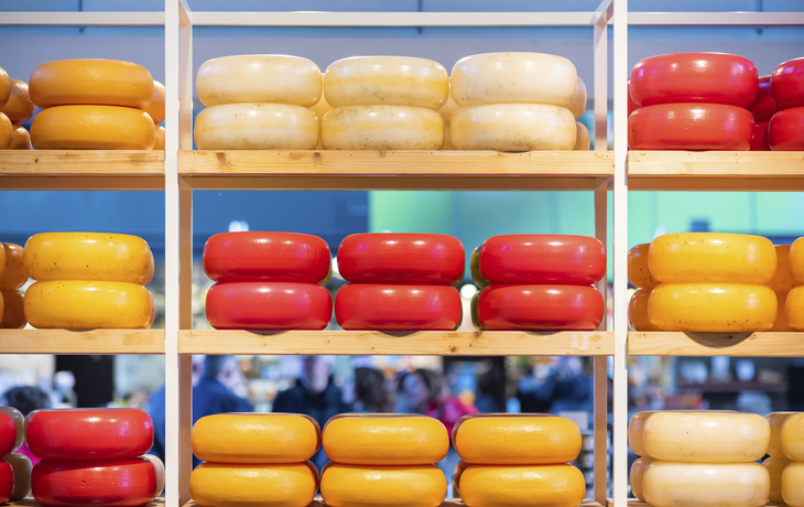 Riekermolen, Windmühlen