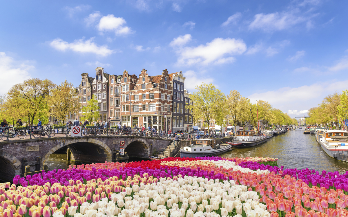 Blumen in Amsterdam, Niederlande