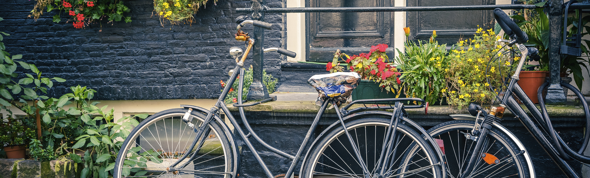 Hollandräder an Hauswand