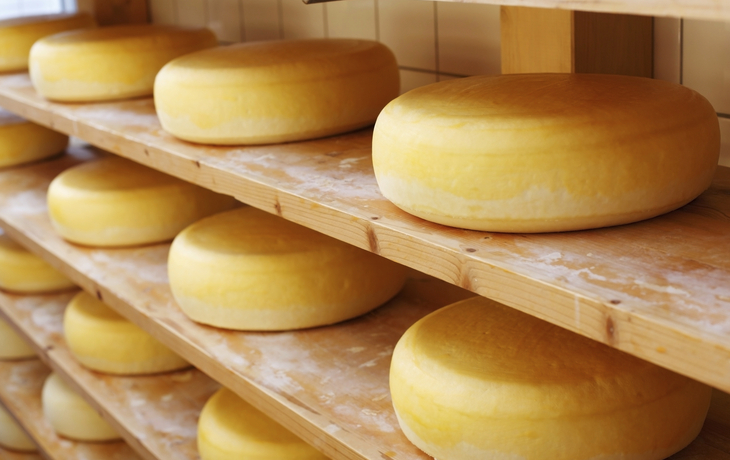Kaese in der Produktion