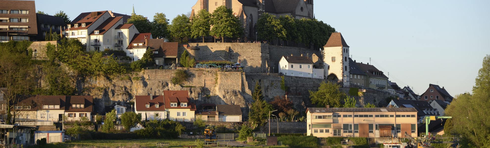 Skyline von Breisach am Rhein in Deutschland