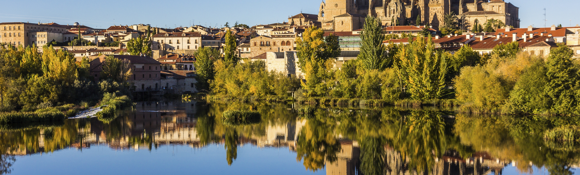 Kathedrale von Salamanca, Spanien