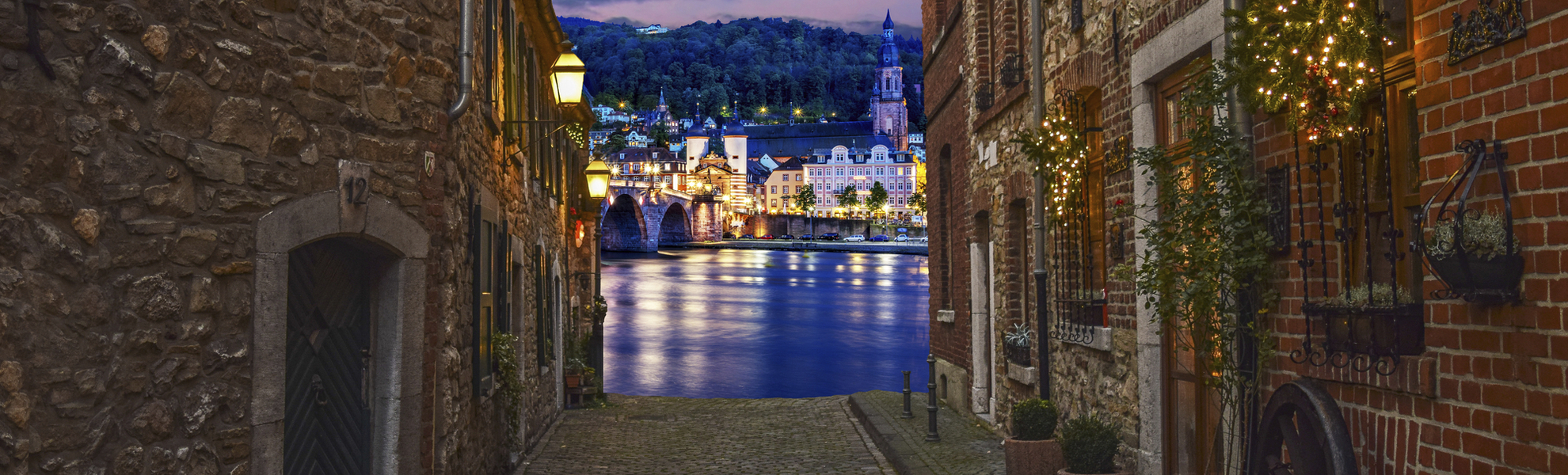 Heidelberg, Sicht auf den Neckar