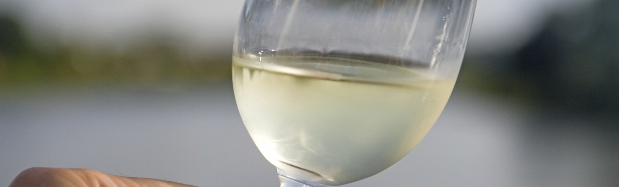 Weinprobe an der Mosel