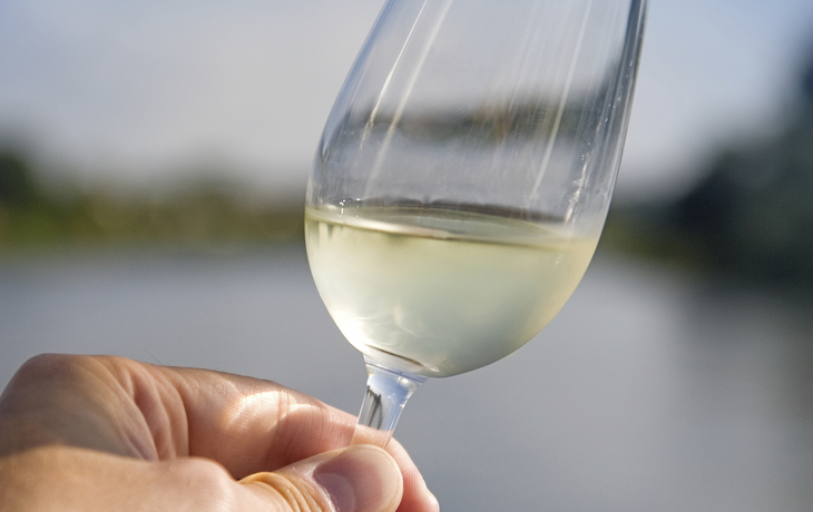 Weinprobe an der Mosel