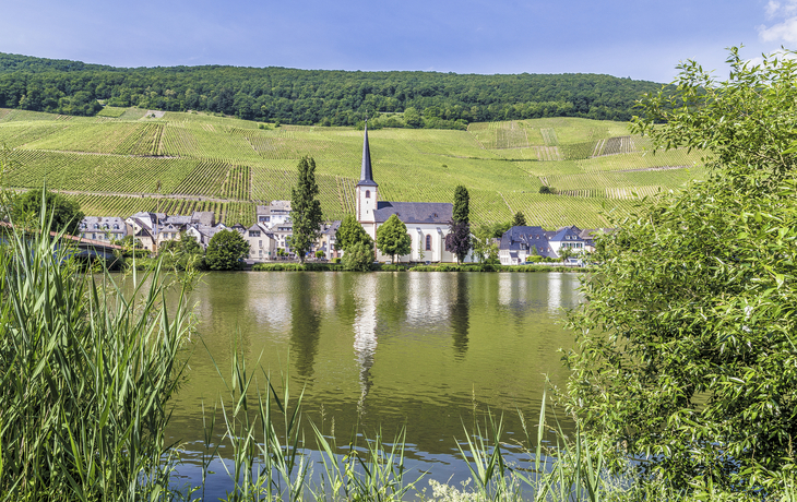 Piesport an der Mosel, Deutschland
