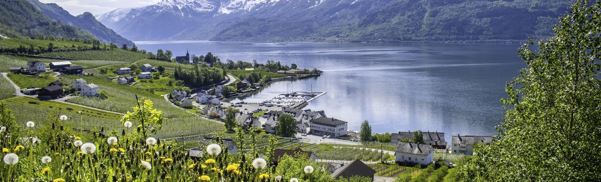 Hardangerfjord