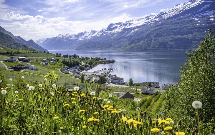 Hardangerfjord