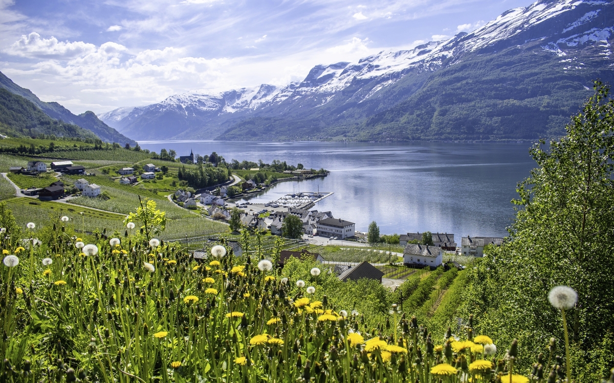 Hardangerfjord