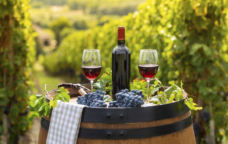 Bordeaux, Weinkellerei