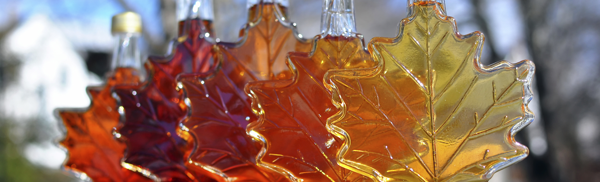 Ahornblattflaschen mit Ahornsirup