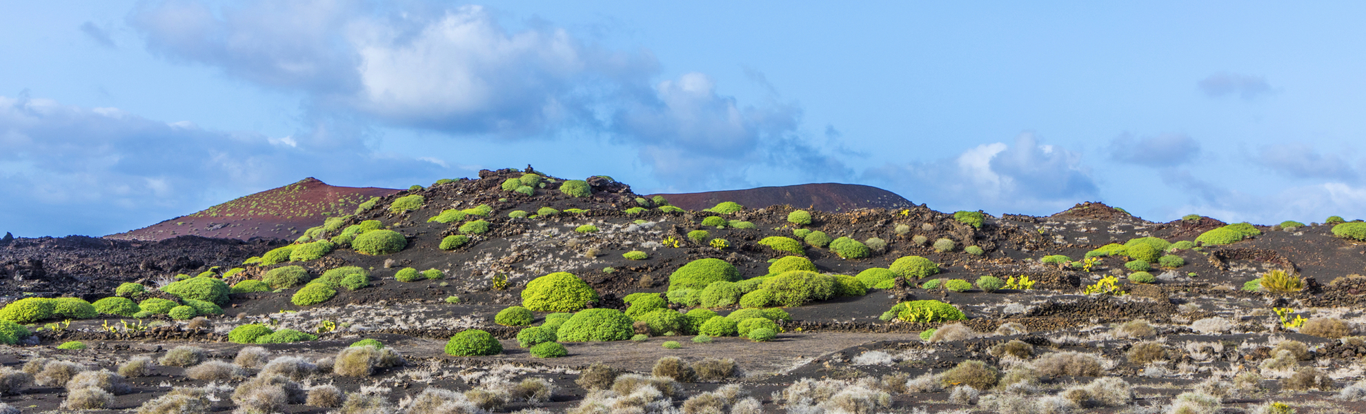 Timanfaya Nationalpark auf Lanzarote, Spanien