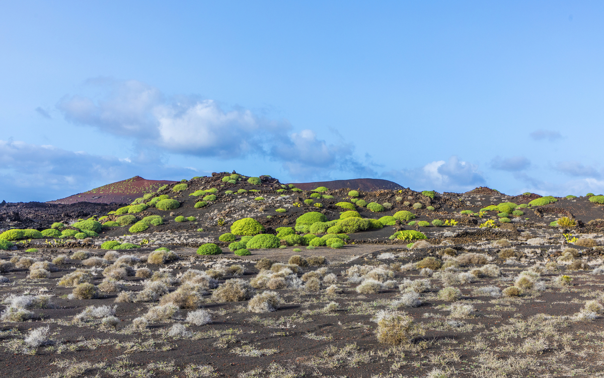 Timanfaya Nationalpark auf Lanzarote, Spanien