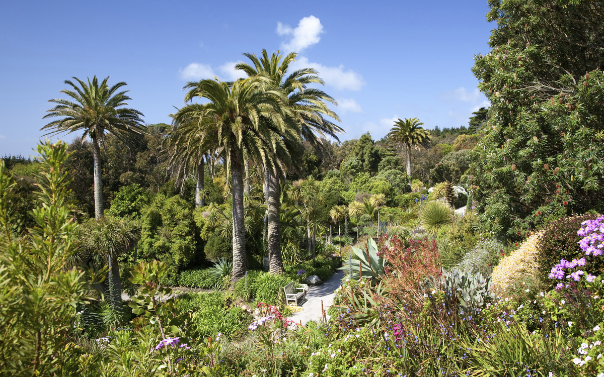 Klostergarten von Tresco auf den Scilly Inseln, England