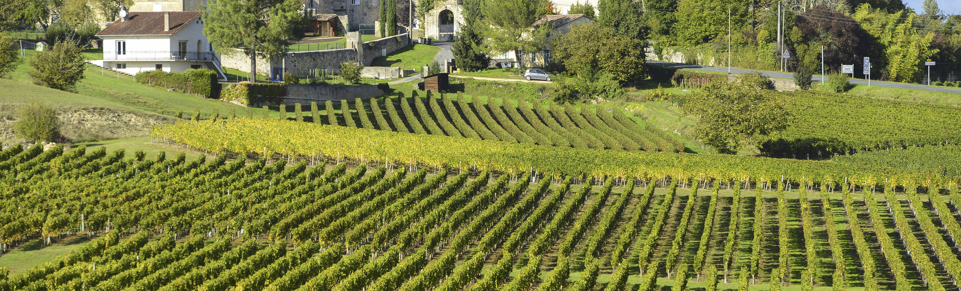 Weingut in Bordeaux, Frankreich