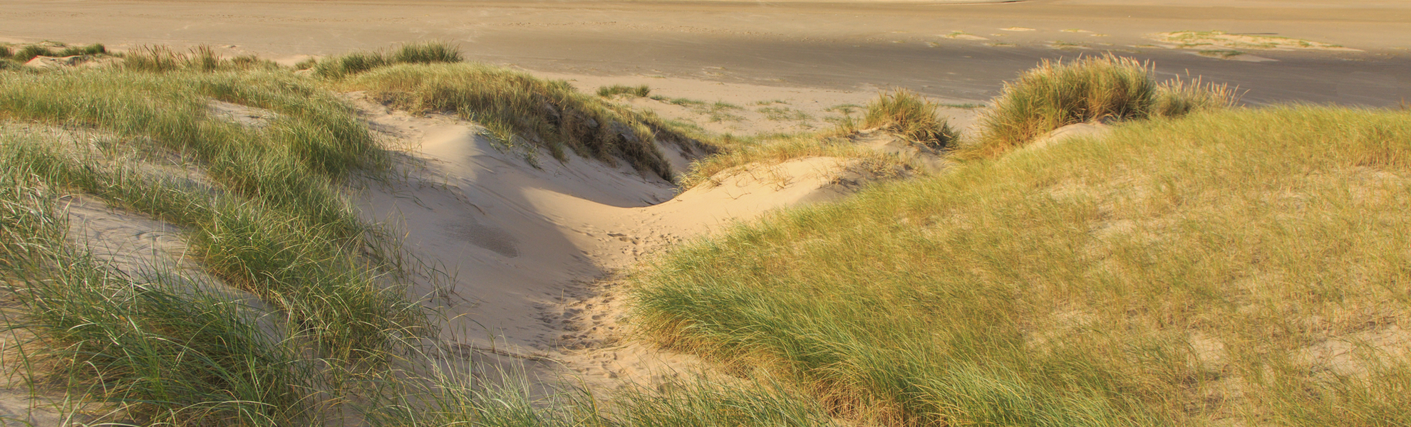 Einsamer Strand in Ijmuiden, Niederlande
