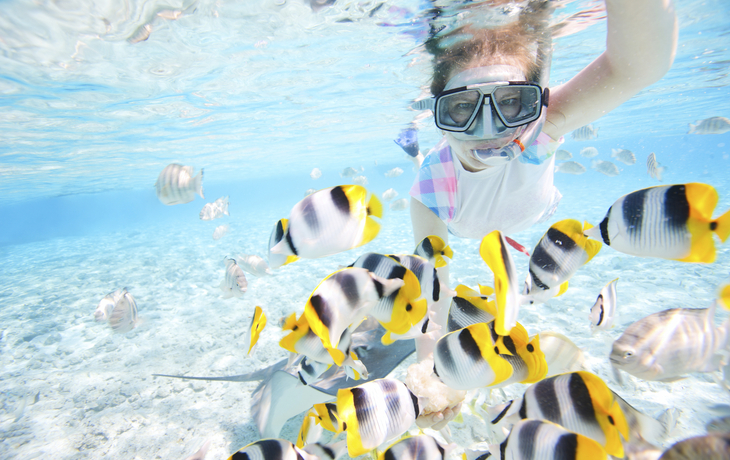 Rochenbeobachtung & Schnorcheln auf Bora Bora