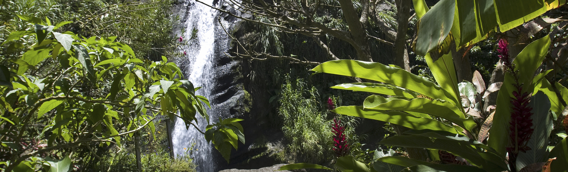 Concord-Wasserfall, Grenada
