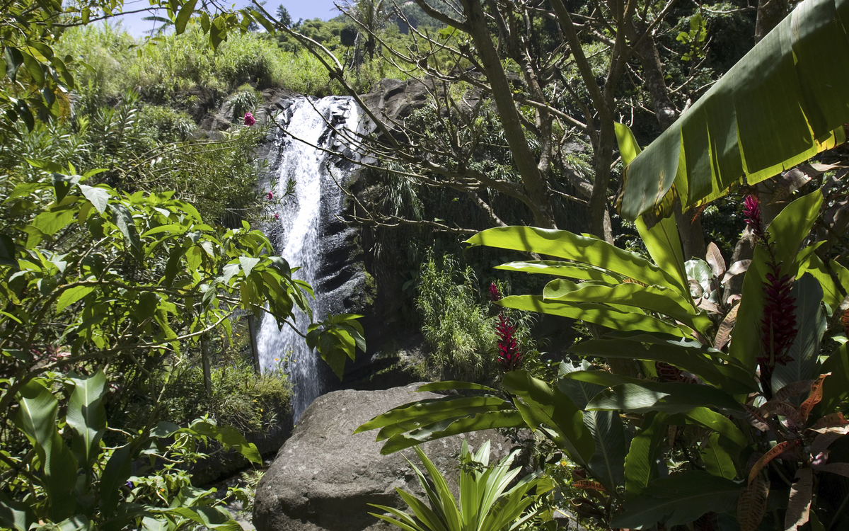 Concord-Wasserfall, Grenada