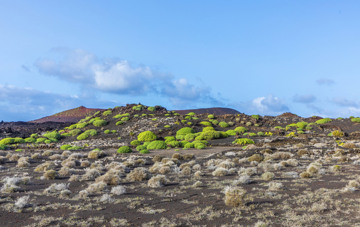 Timanfaya Nationalpark auf Lanzarote, Spanien