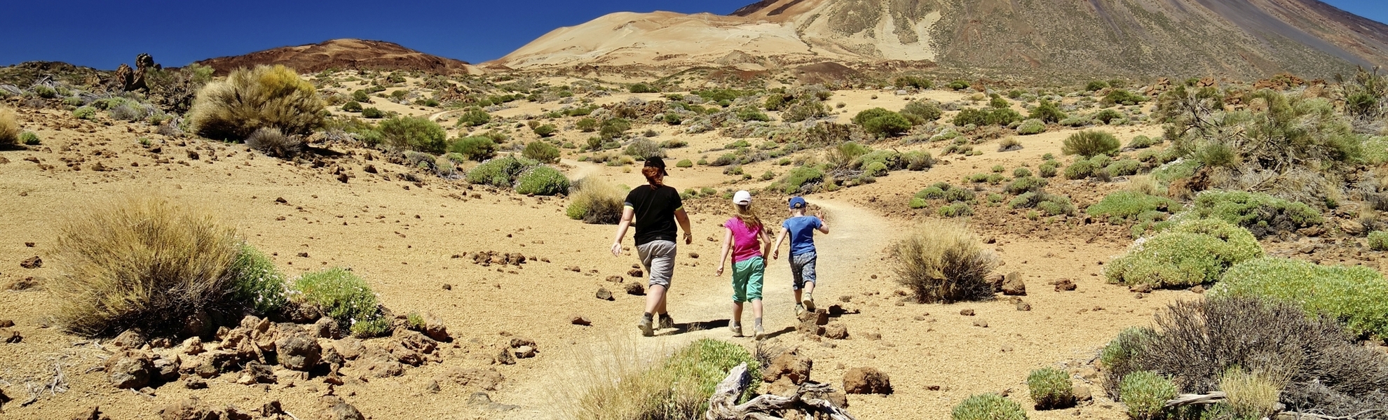 Vulkan im Nationalpark Las Canadas del Teide auf Teneriffa, Spanien