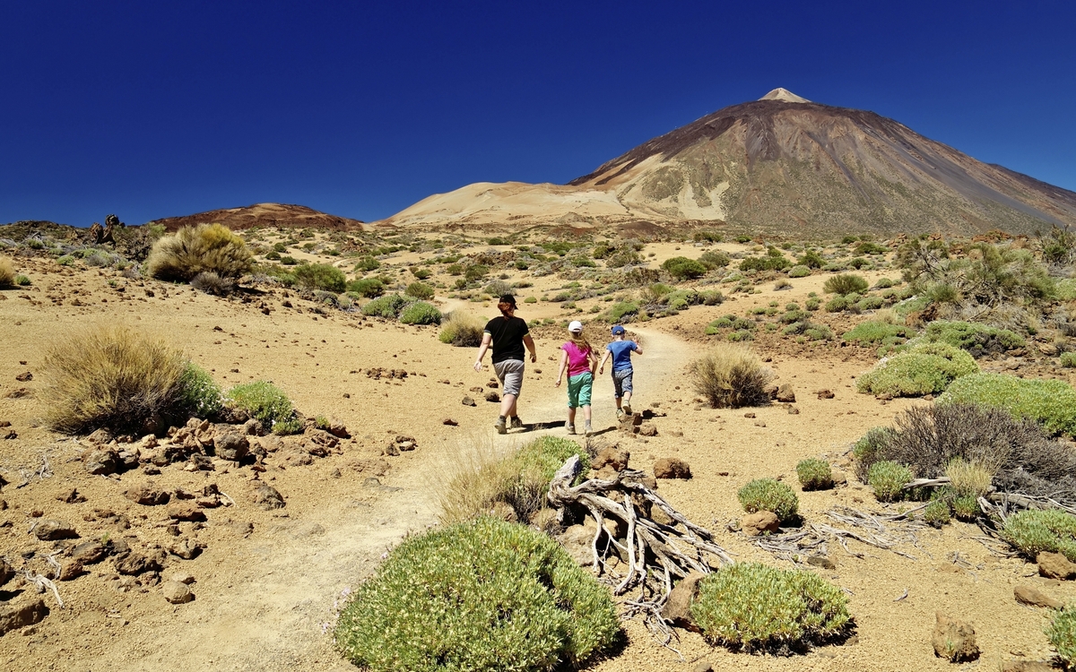 Vulkan im Nationalpark Las Canadas del Teide auf Teneriffa, Spanien