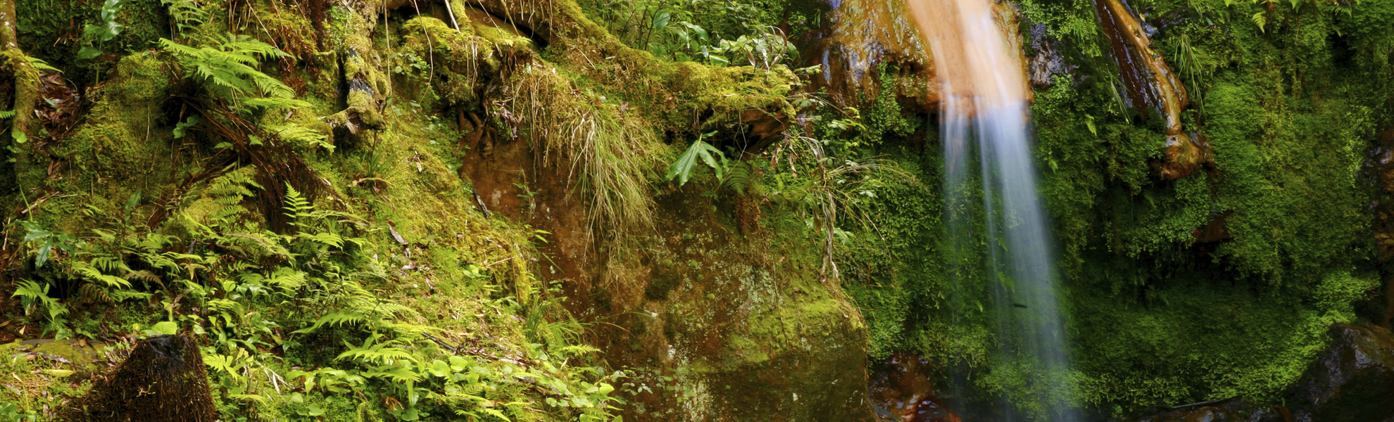 Wasserfall in der Caldeira auf der Azoreninsel Sao Miguel