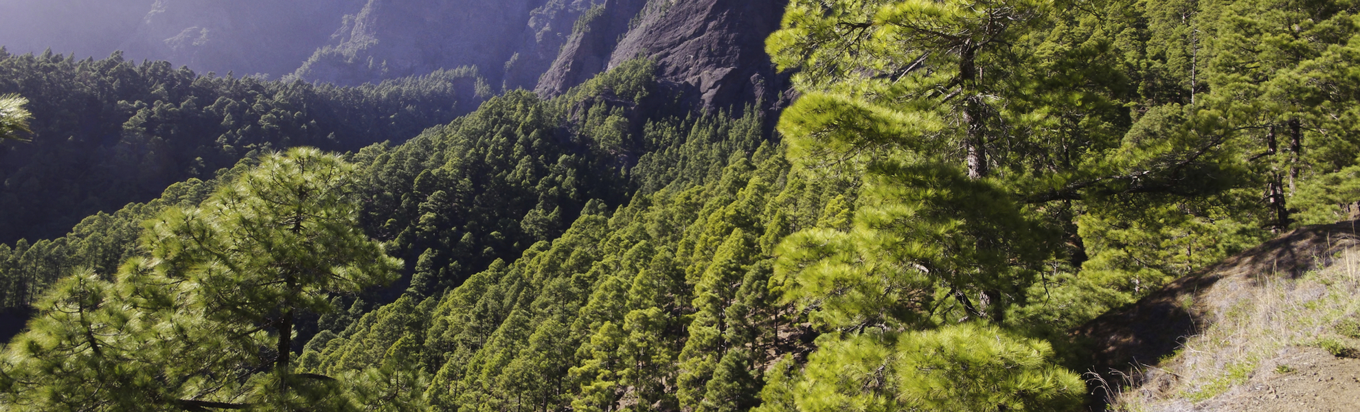 Caldera de Taburiente auf La Palma, Kanarische Inseln