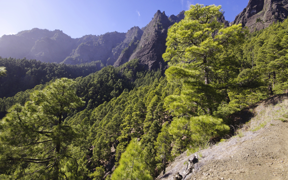 Caldera de Taburiente auf La Palma, Kanarische Inseln