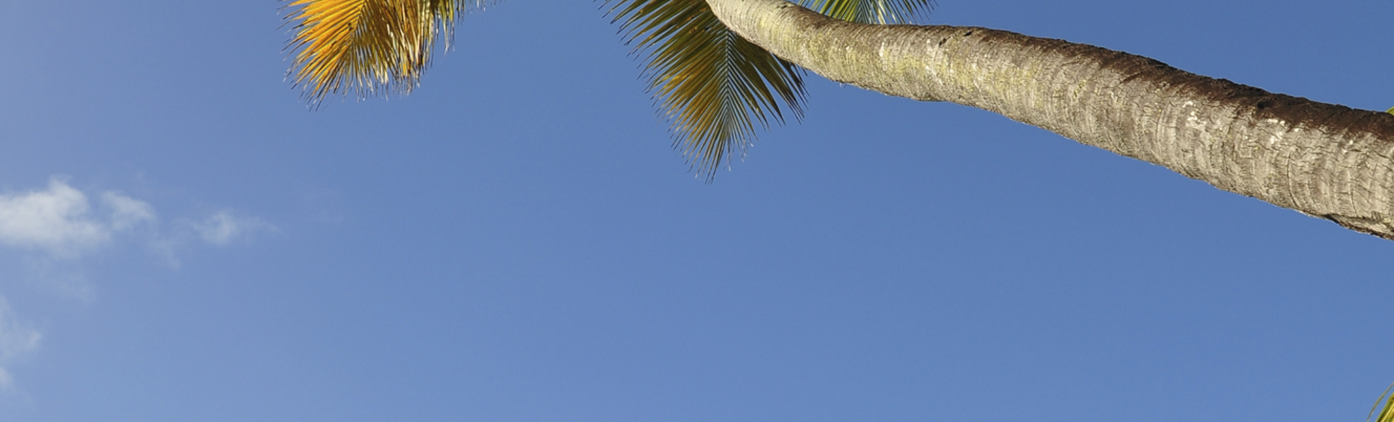 Blick auf die Bucht und den Hafen von Bequia, St. Vincent und die Grenadinen