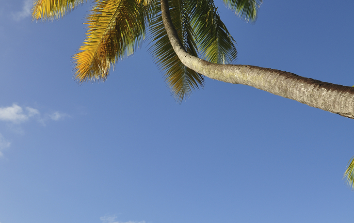 Blick auf die Bucht und den Hafen von Bequia, St. Vincent und die Grenadinen