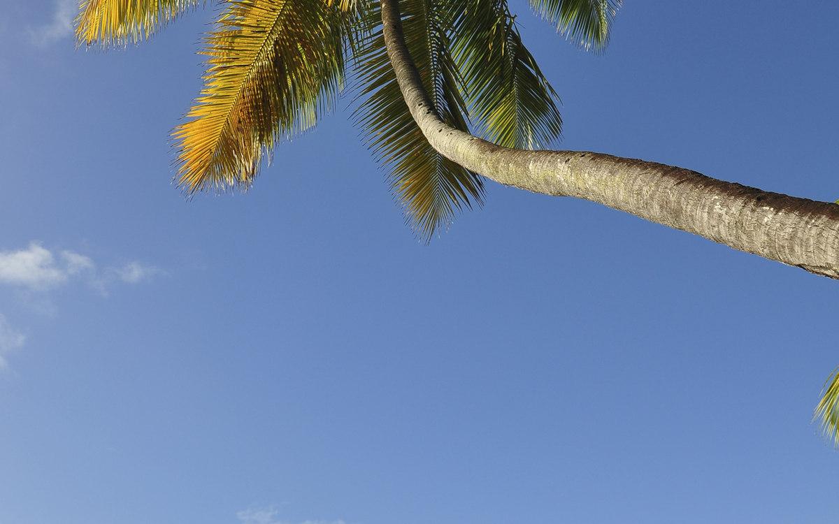 Blick auf die Bucht und den Hafen von Bequia, St. Vincent und die Grenadinen