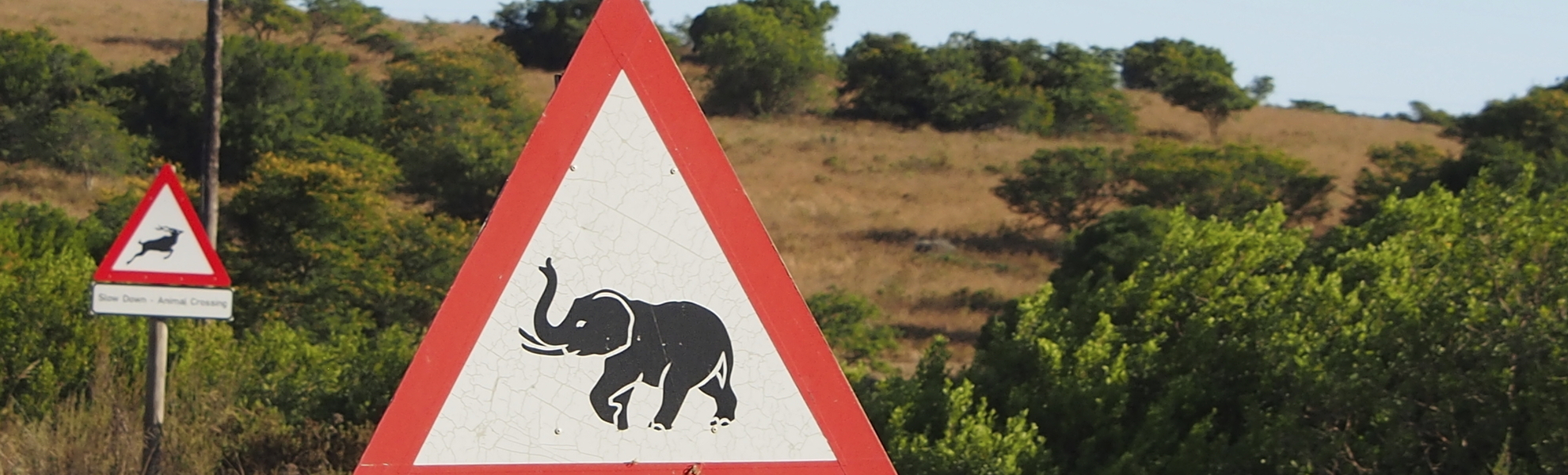 Verkehrsschild 'Achtung Elefanten' in Südafrika