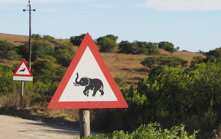 Verkehrsschild 'Achtung Elefanten' in Südafrika