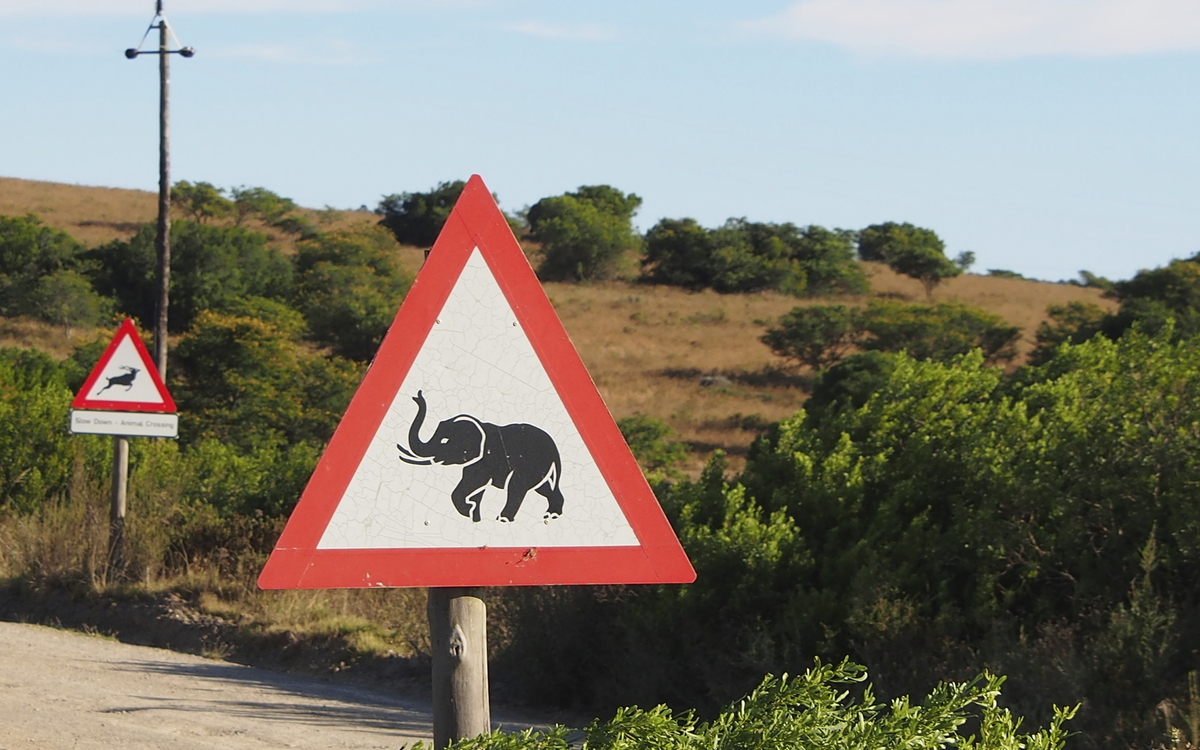 Verkehrsschild 'Achtung Elefanten' in Südafrika