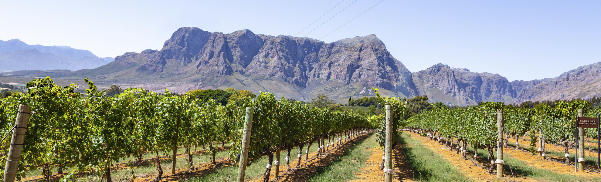 Weinregion Stellenbosch