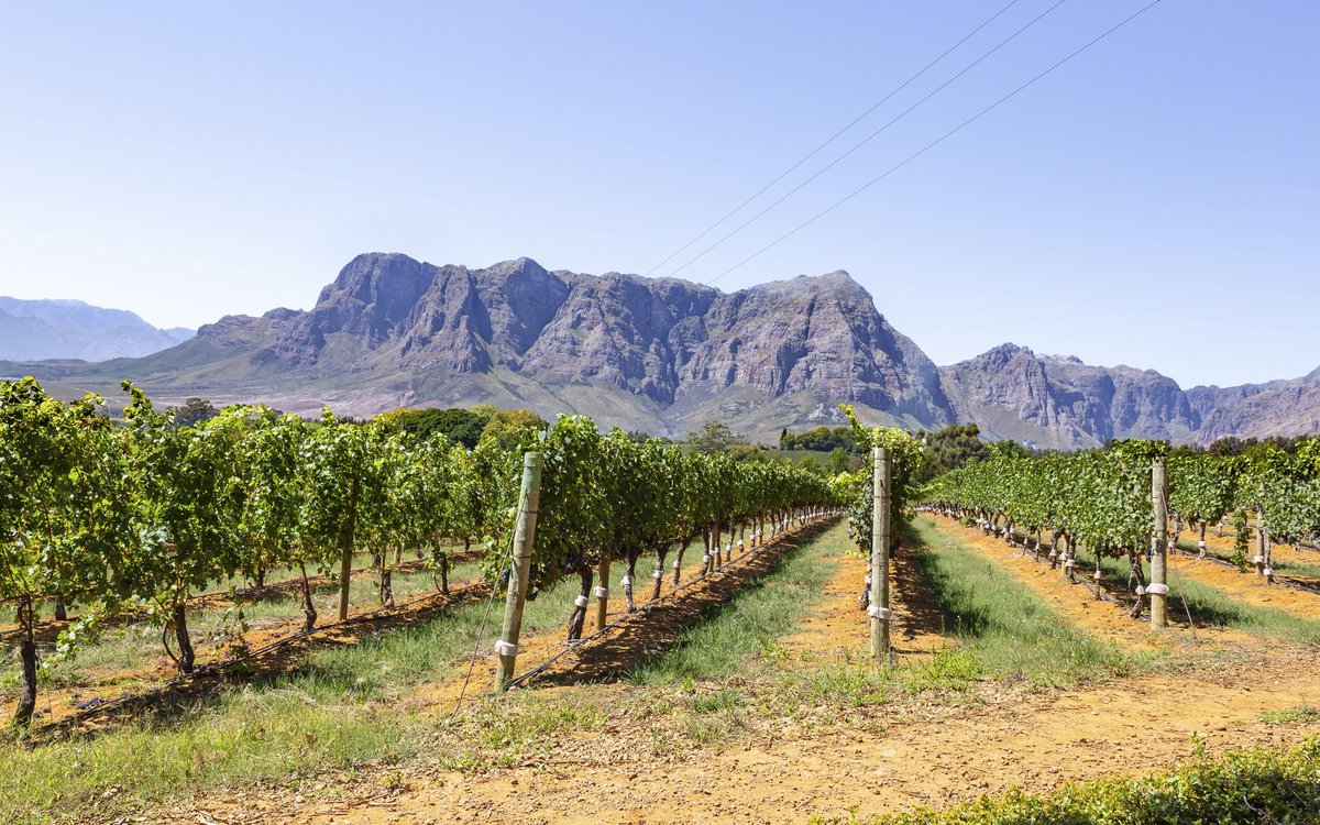 Weinregion Stellenbosch