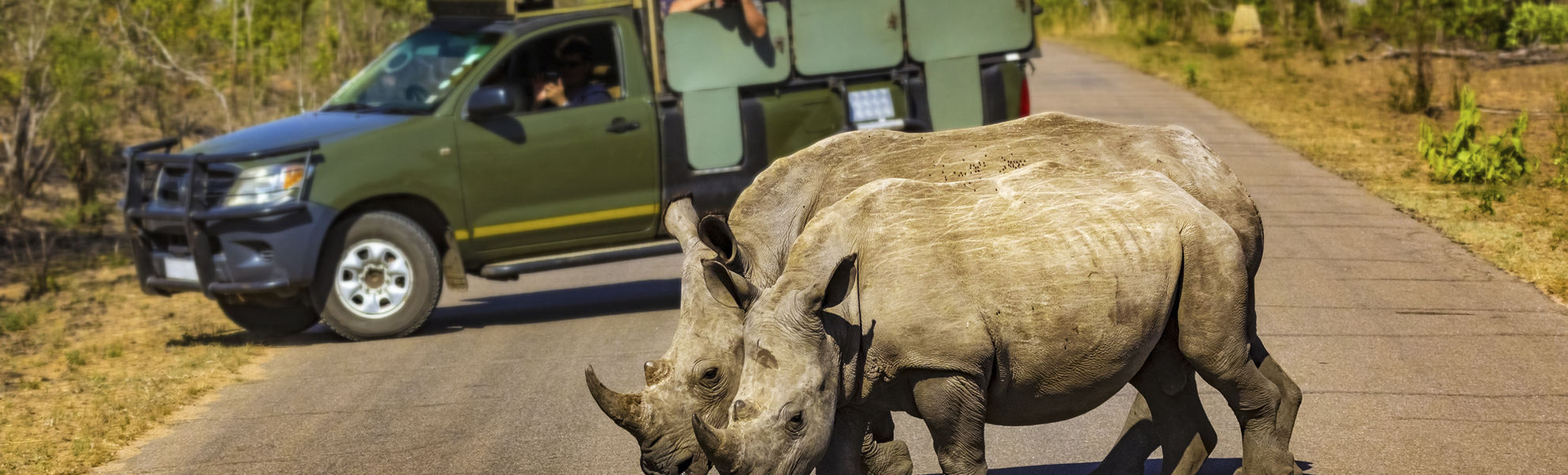 Krüger Nationalpark