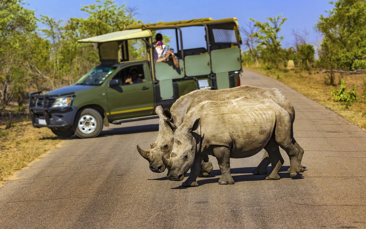 Krüger Nationalpark