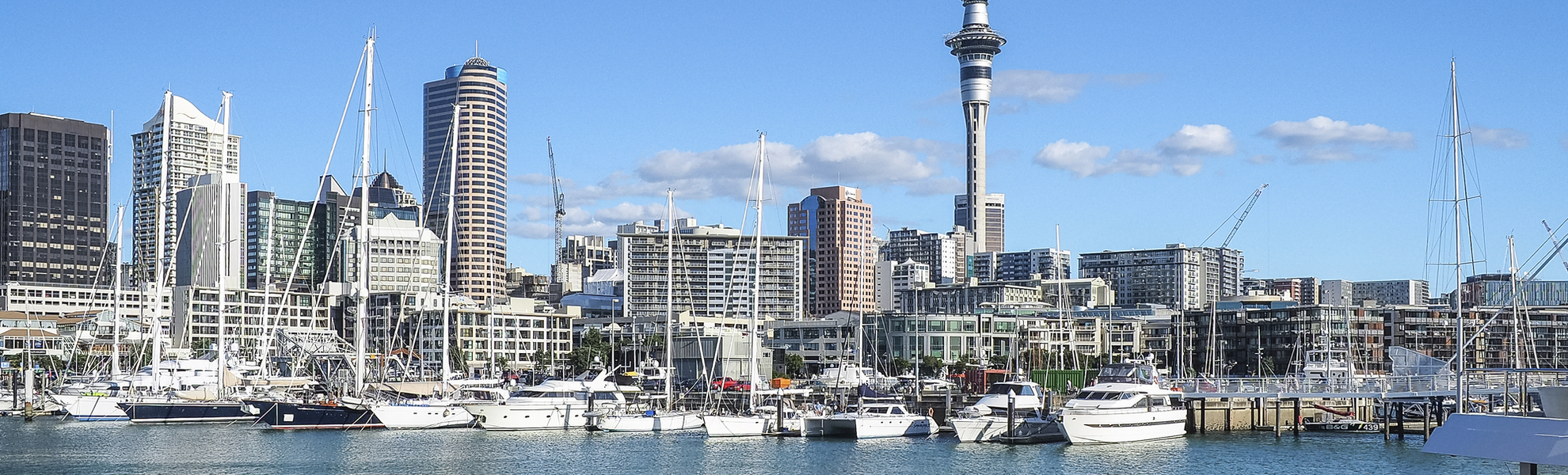 Skyline von Auckland, Neuseeland