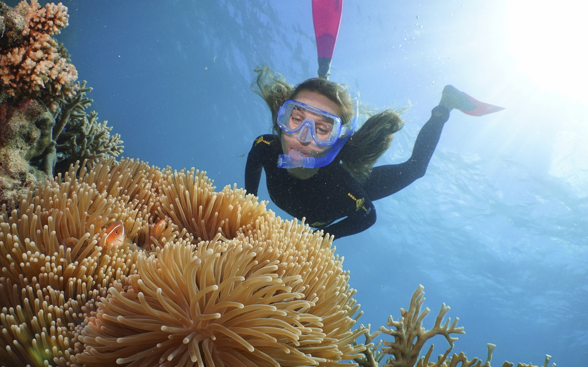 Port Douglas, Great Barrier Reef