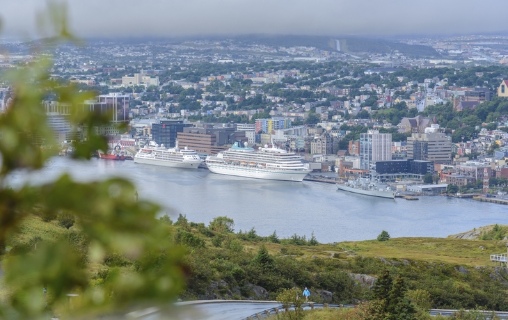 MS Amera in Neufundland