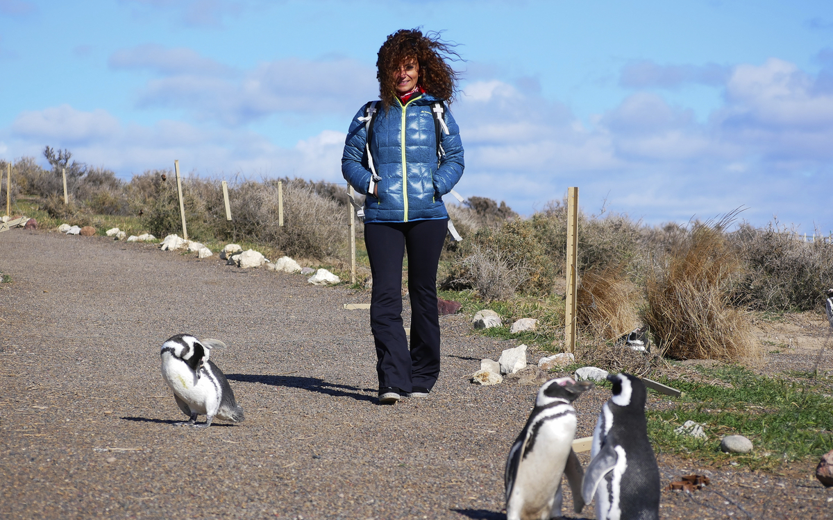 Pinguinkolonie, Punta Tombo