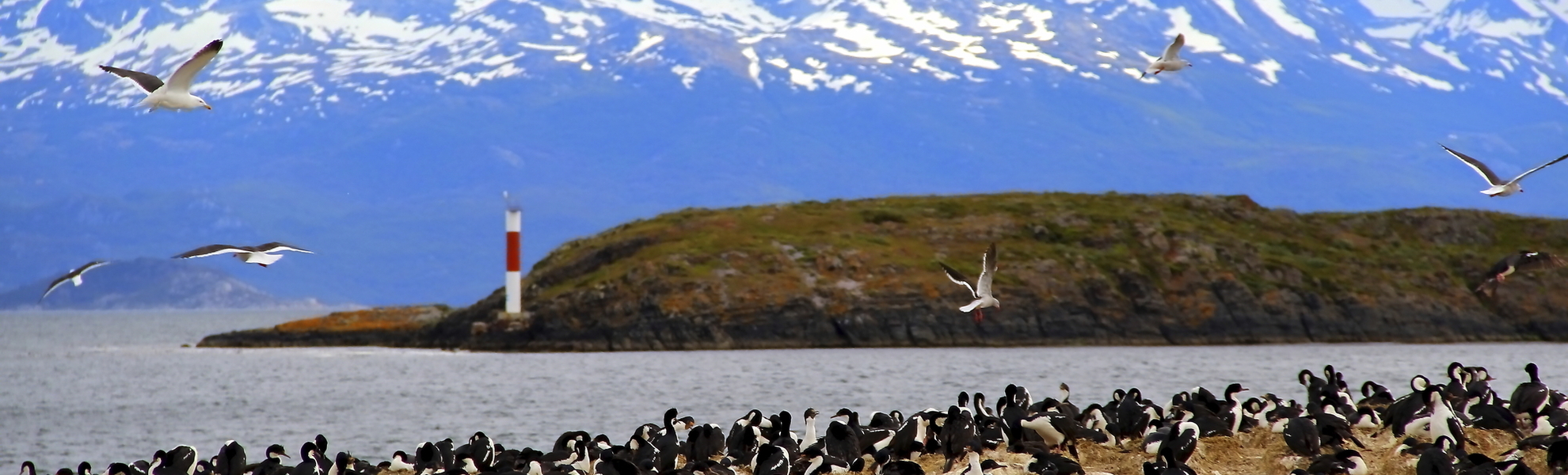 Beagle Kanal, Argentinien