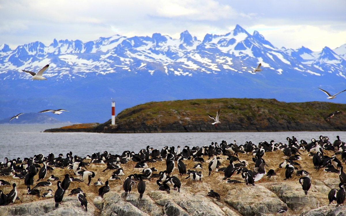 Beagle Kanal, Argentinien