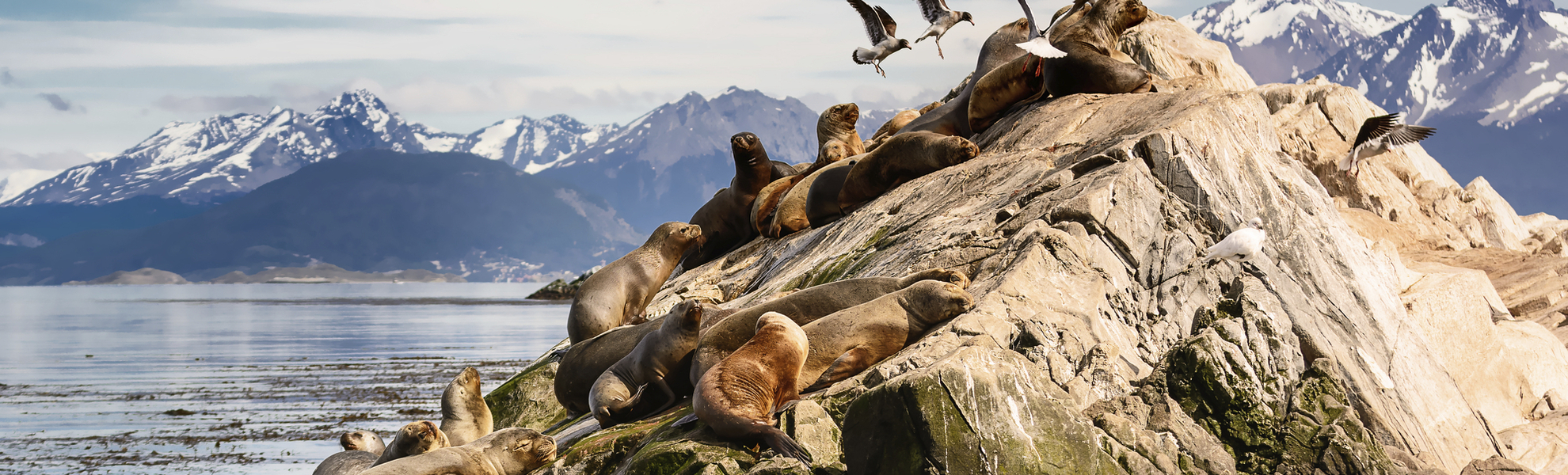 Beagle Kanal, Argentinien